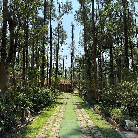 Coffee Grove Resort Chikmagalūr Exterior foto