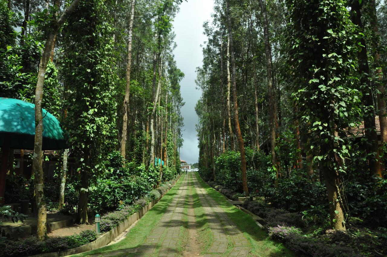 Nexstay Coffee Grove Resort Chikmagalūr Exterior foto